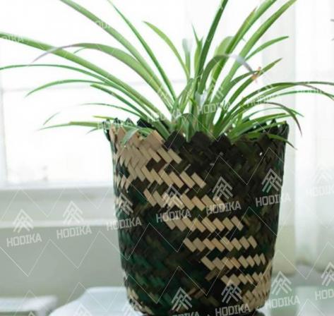 مرکز خرید گلدان حصیری رنگی با بهترین کیفیت