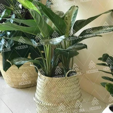 خرید گلدان حصیری خمره ای متوسط از فروشگاههای معتبر