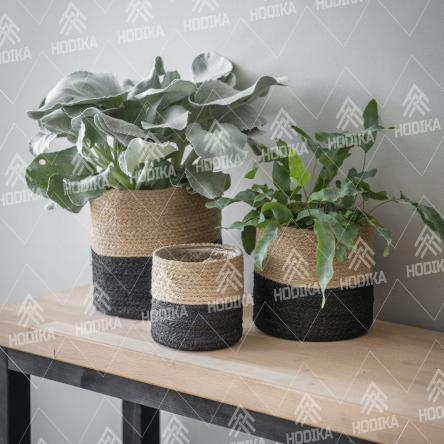 بررسی مشکلات تولید گلدان حصیری در ایران