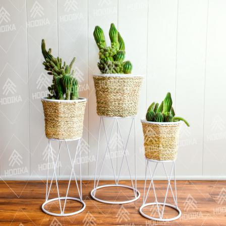 کارخانه تولید گلدان حصیری استوانه ای با کیفیتی بی نظیر