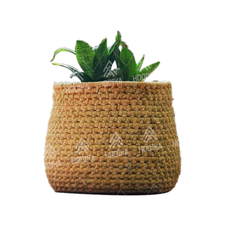 بررسی تاثیر نرخ ارز جا گلدانی حصیری بر قیمت