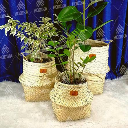 آشنایی با مراحل صادرات گلدان حصیری در ایران