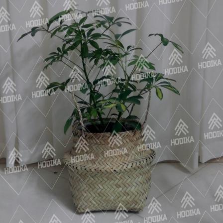 فروش ویژه گلدان حصیری طرح کوزه ای با بهترین کیفیت