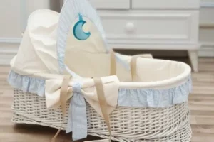 جایگاهی برای خرید سبد حصیری نوزاد با کیفیت