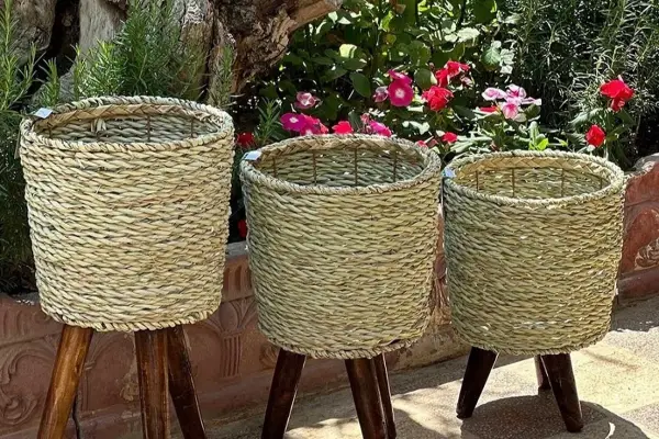 افزودنی زیبا و کارآمد به مغازه شما